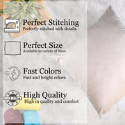 Soft Luxurious Velvet Cushion Covers Set of 5, Beige